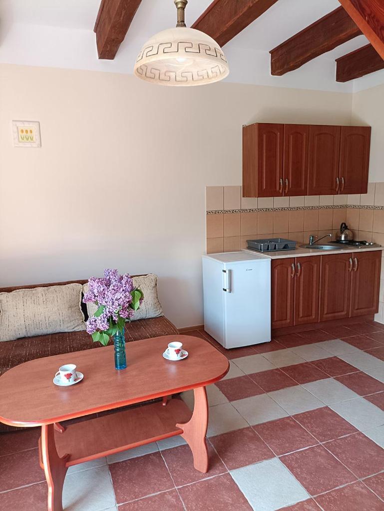Apartamenty "Anusia" Ledzin Exterior photo