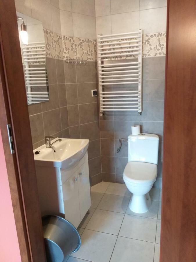 Apartamenty "Anusia" Ledzin Exterior photo