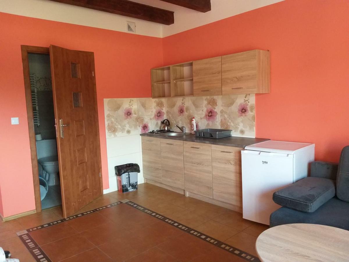 Apartamenty "Anusia" Ledzin Exterior photo